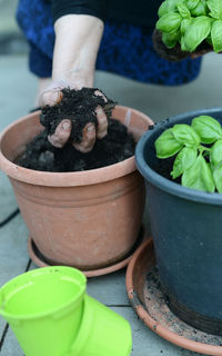 Cropped hand holding potted plant