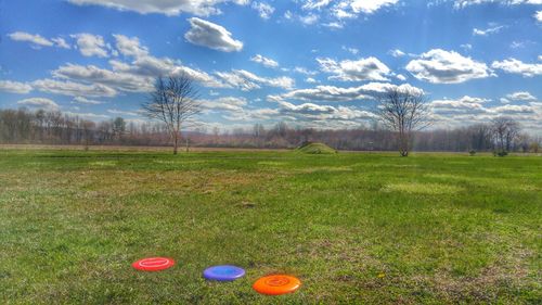 Scenic view of grassy field against sky