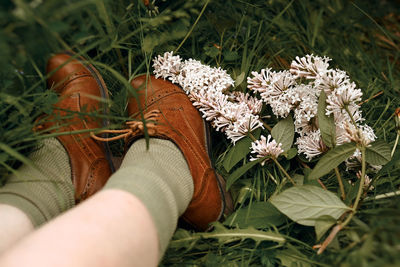 Low section of person on white flowering plants