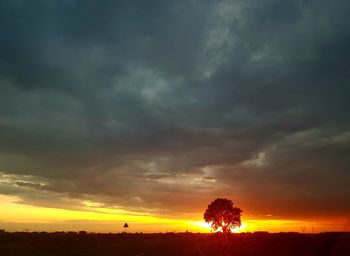 Silhouette trees against dramatic sky during sunset