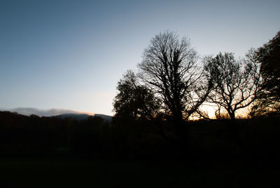 Silhouette bare trees against clear sky during sunset