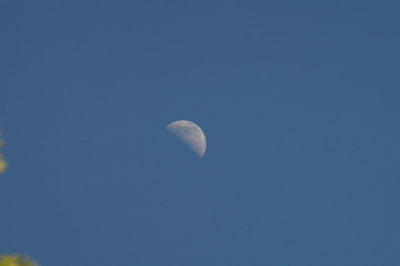 Low angle view of moon against clear blue sky