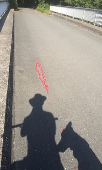 Shadow of man on road