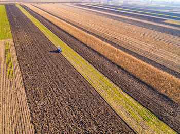 Scenic view of agricultural field