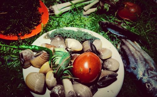 Close-up of vegetables