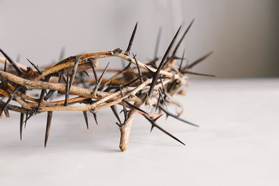 Jesus crown thorns and nails and cross on a white background. easter day