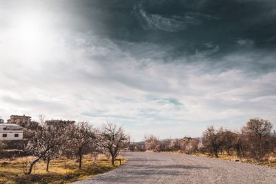 Road amidst trees on field against sky