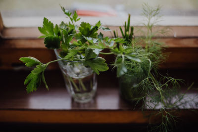 Close-up of plants in glass on table