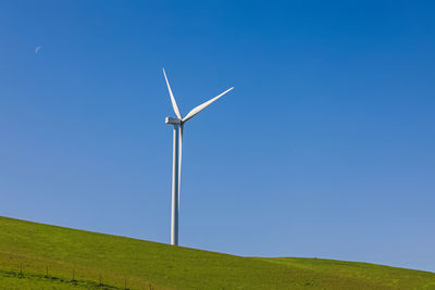 environmental conservation