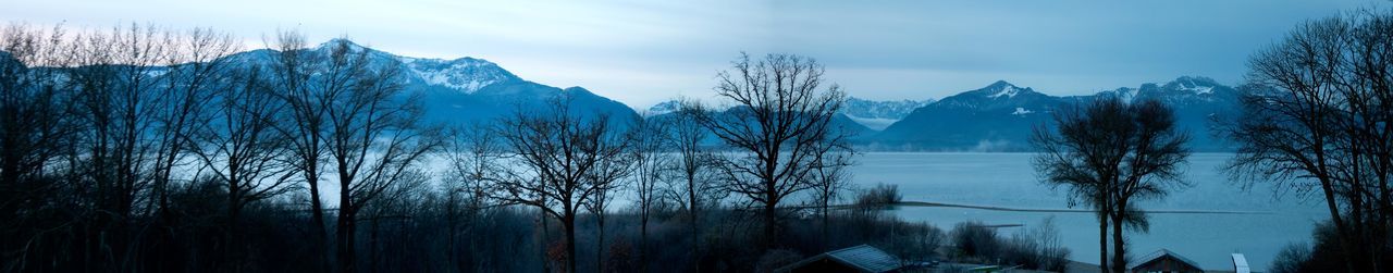 Panoramic shot of bare trees by calm lake