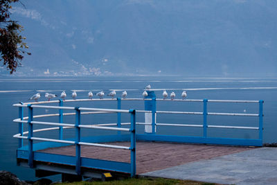 Birds perching on railing against sea