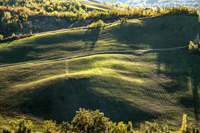 Full frame shot of farm