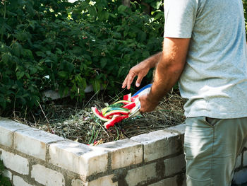 Midsection of man holding ice cream standing by plants