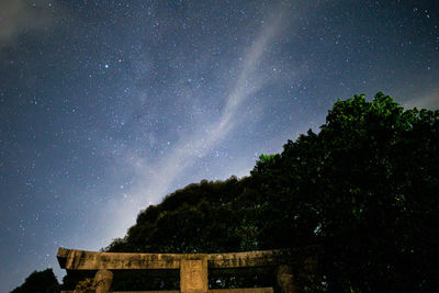 Low angle view of trees against sky at night