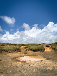 Scenic view of landscape against sky