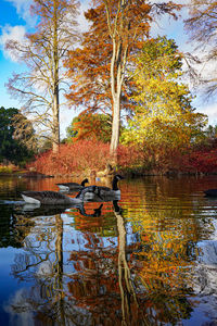 Reflection of autumn trees in lake