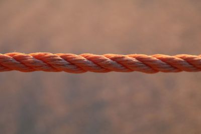 Close-up of orange rope