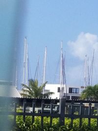 Sailboats in sea by buildings against sky