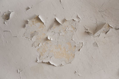 White empty grungy old vintage damaged background wall surface with peeling off whitewash texture