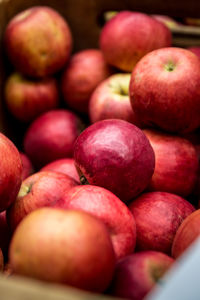 Full frame shot of fruits in market