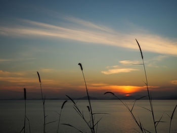 Scenic view of sunset over sea