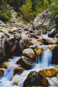 Scenic view of waterfall in forest