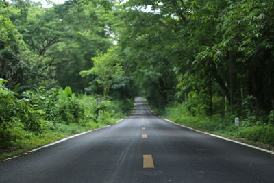 Empty road amidst trees