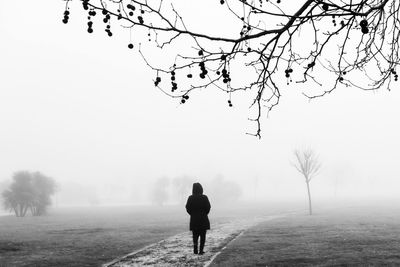 Rear view of woman on bare tree against sky