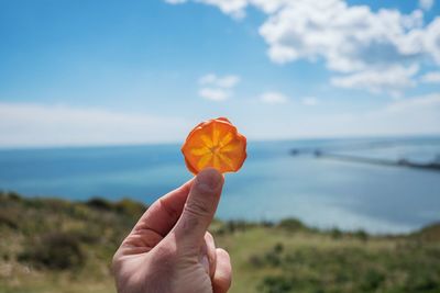 Cropped hand of person holding dried orange fruit against sea