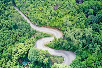 High angle view of road amidst trees in forest