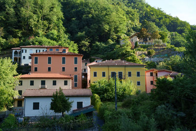 Buildings in town