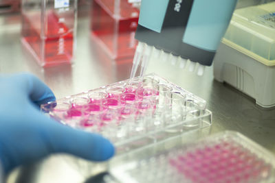 Cropped hand of scientist working in laboratory