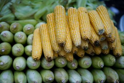 Close-up of fresh corns for sale in market