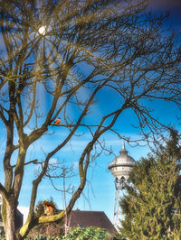 Low angle view of trees against clear blue sky