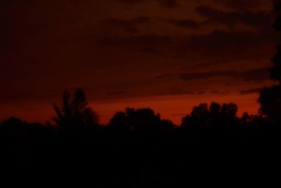 Silhouette of trees at sunset