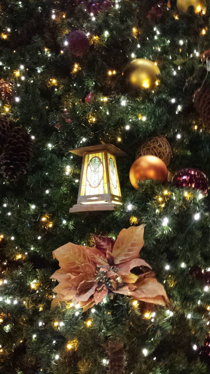 christmas tree, christmas, celebration, tree, christmas decoration, christmas lights, tradition, illuminated, christmas ornament, no people, night, holiday - event, tree topper, indoors