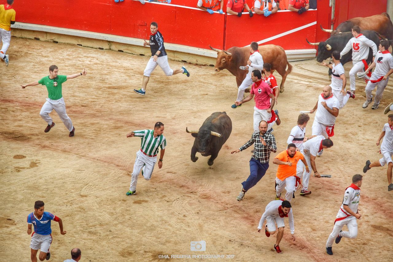 large group of people, high angle view, competition, sport, playing, day, motion, jumping, men, competitive sport, group of people, sports race, outdoors, mammal, people, adult