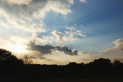 Silhouette trees against sky during sunset