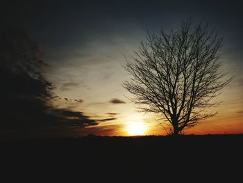 Silhouette tree against sky during sunset