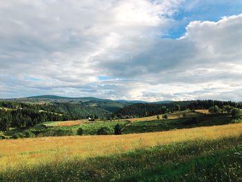 Scenic view of field against sky