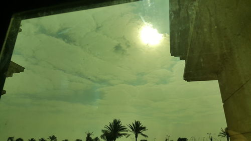 Low angle view of trees against sky