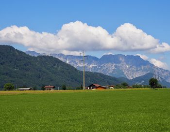 Scenic view of field against sky