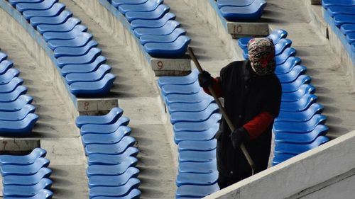 Row of trees in the dark