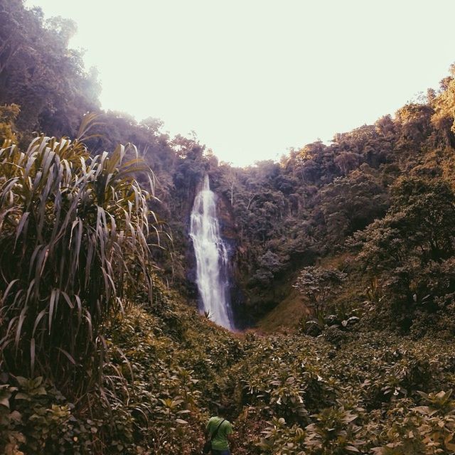 scenics, beauty in nature, waterfall, nature, clear sky, motion, tranquility, water, tree, tranquil scene, rock - object, flowing water, forest, non-urban scene, long exposure, mountain, idyllic, plant, flowing, growth