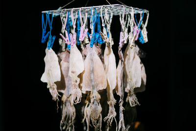 Close-up of clothes hanging over black background