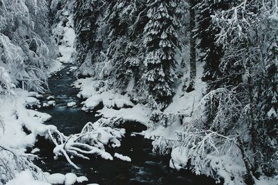 Scenic view of waterfall