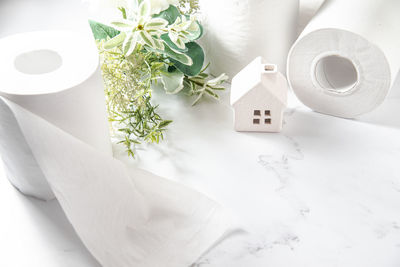 High angle view of white flowering plants on table