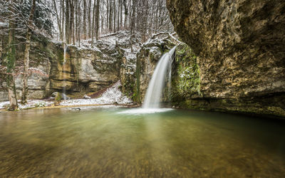 Scenic view of waterfall in forest