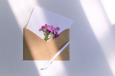 High angle view of purple flower on table