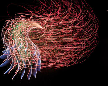 Close-up of light painting against black background
